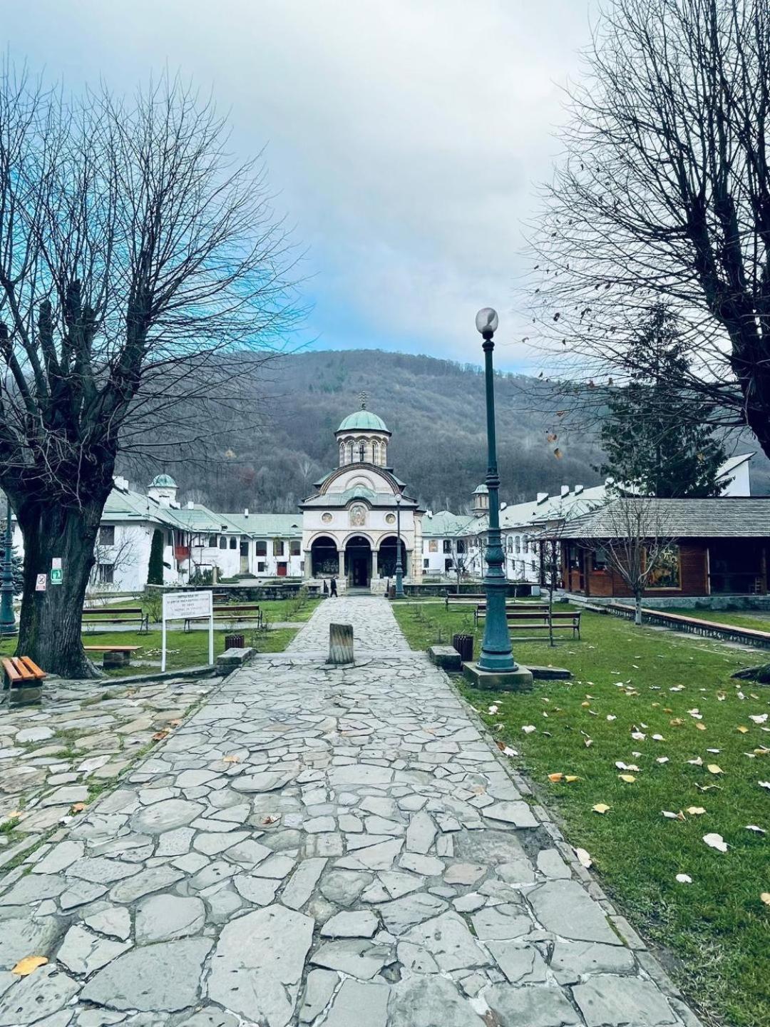 Ferienwohnung Amandalex Călimăneşti Exterior foto